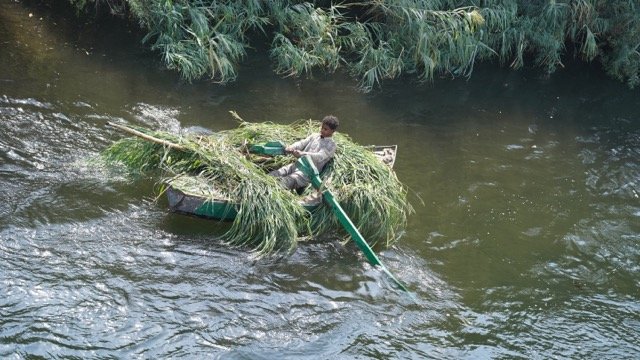 DSC08680 Medium.jpeg