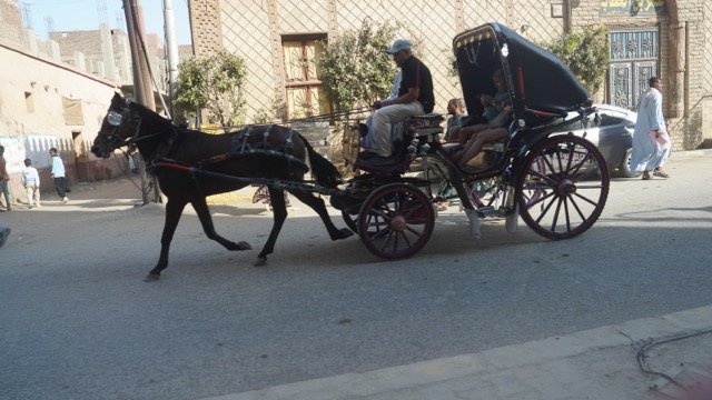 DSC08463 Medium.jpeg