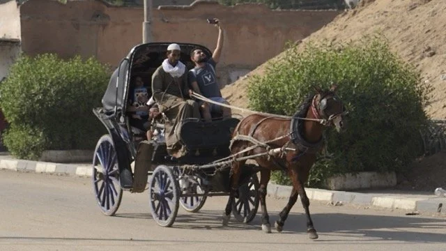 DSC08513 Medium.jpeg