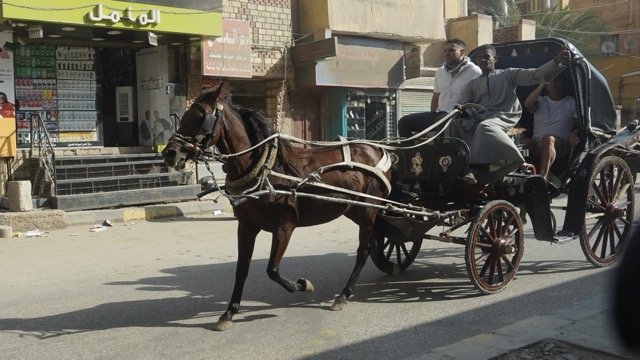 DSC08491 Medium.jpeg