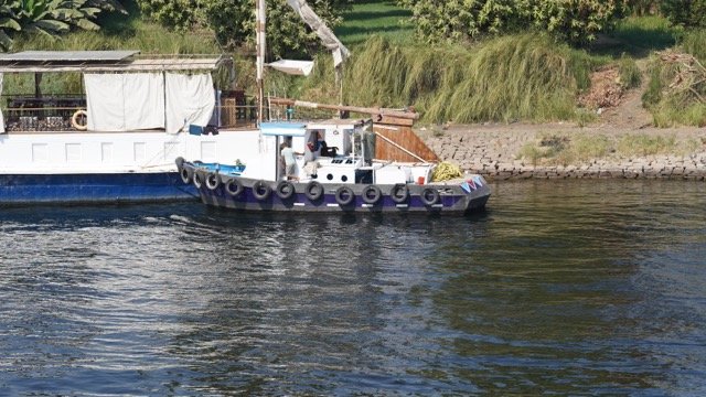 DSC08590 Medium.jpeg