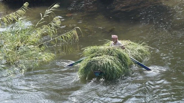 DSC08681 Medium.jpeg