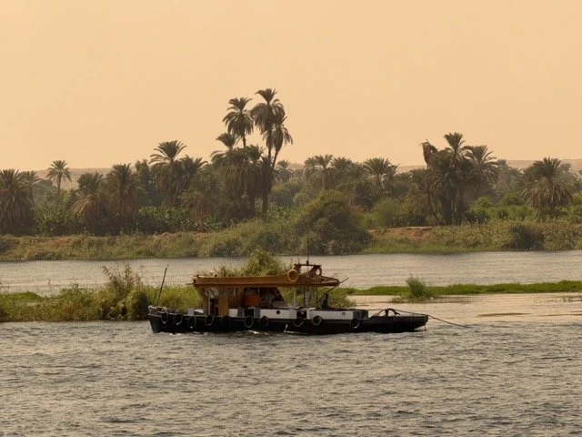 IMG_0462 Medium.jpeg