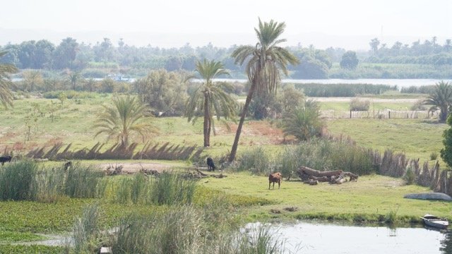 DSC08718 Medium.jpeg