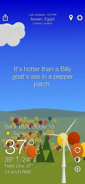 IMG_2220 Medium.jpeg