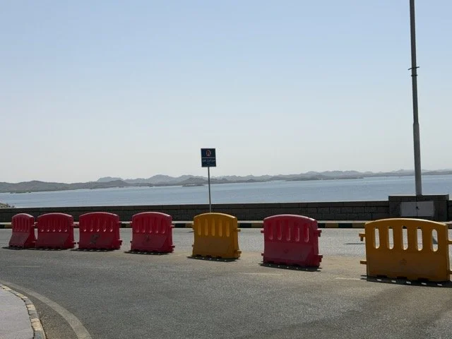 IMG_2671 Medium.jpeg