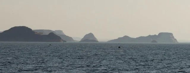 IMG_2864 Medium.jpeg