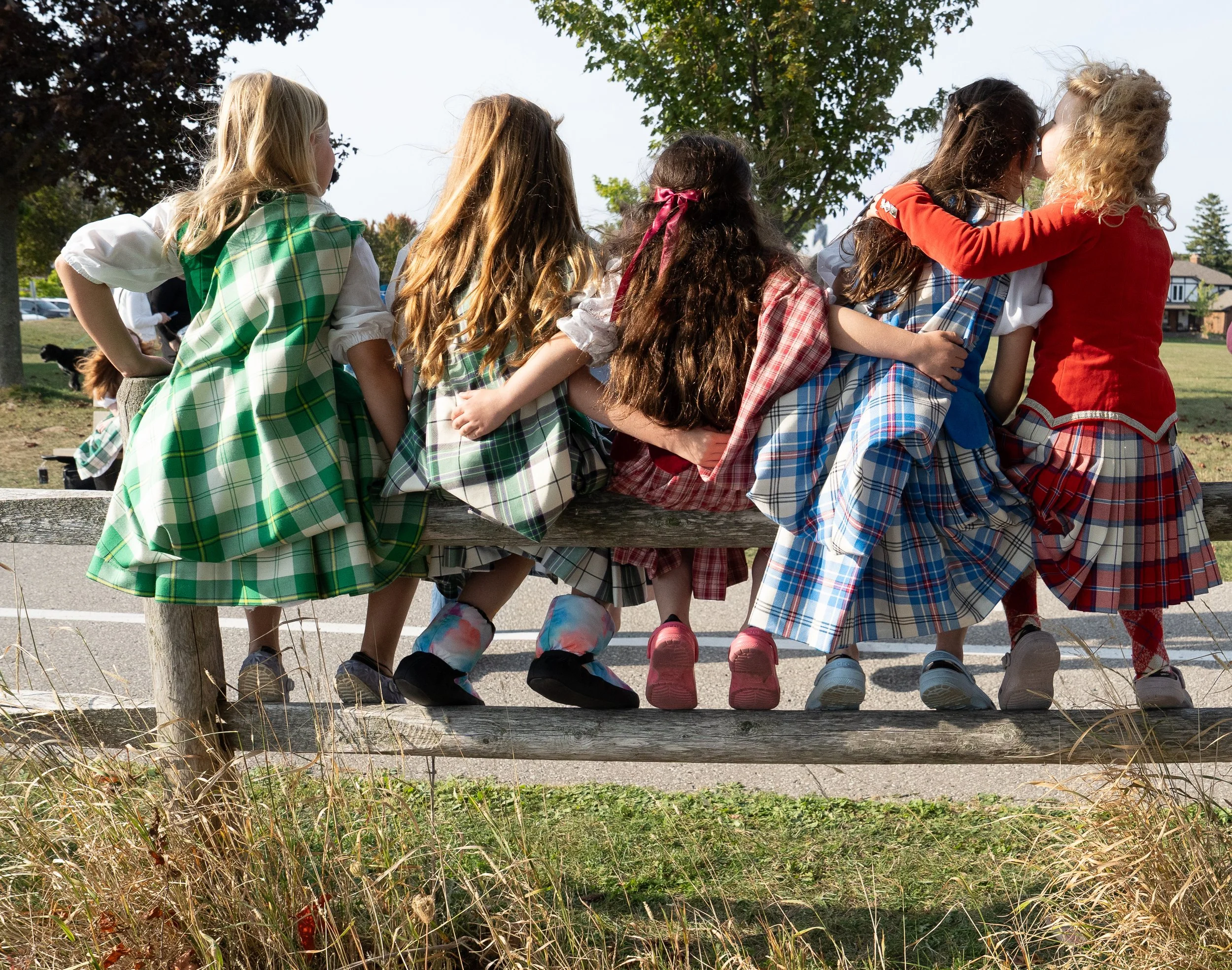 The Essence of Dana Robitaille