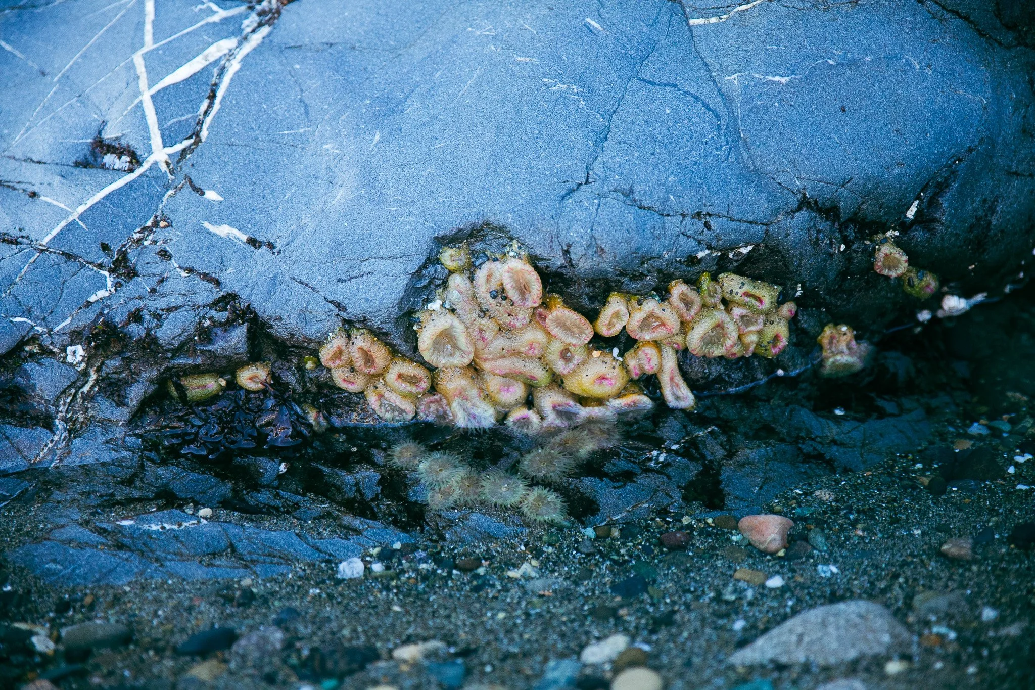 IMG_6598.jpg