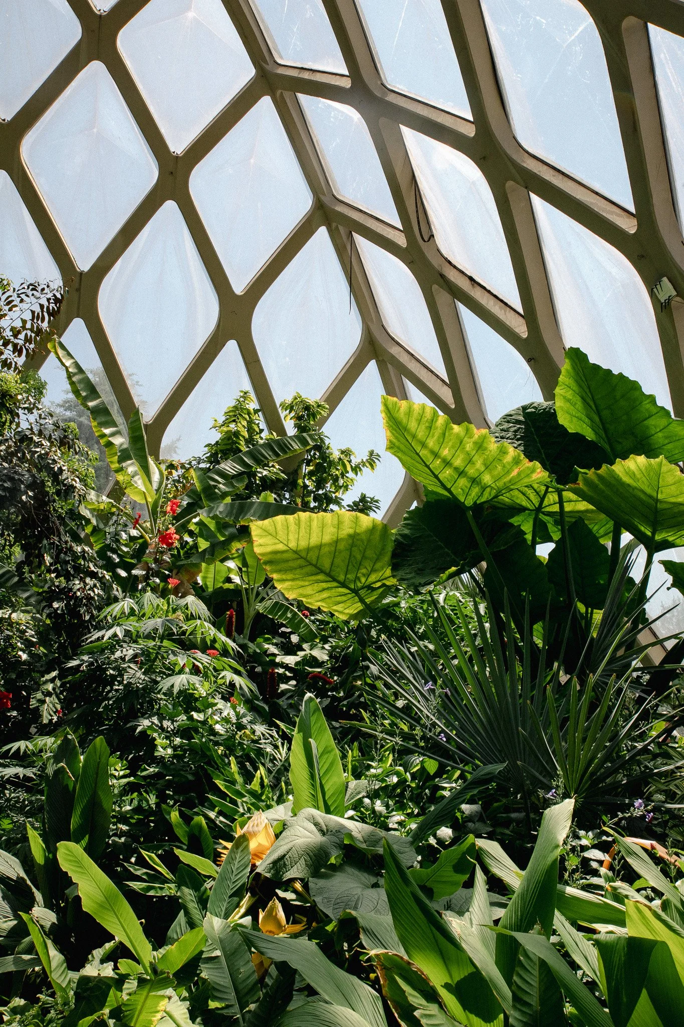 Denver Botanic Gardens