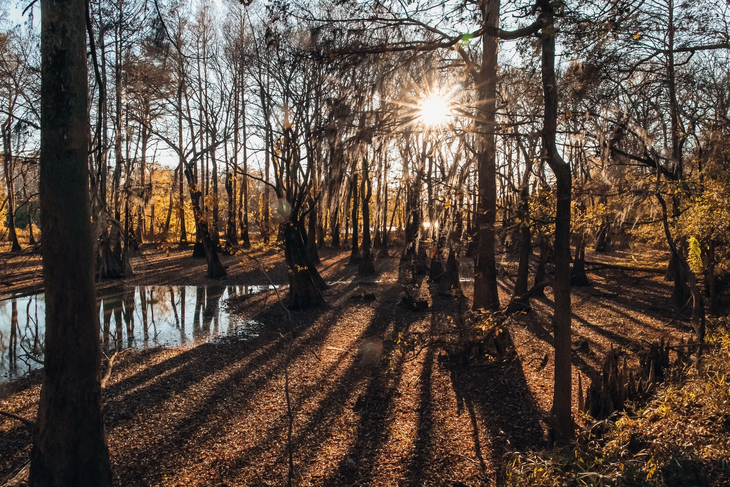 Great City Mississippi