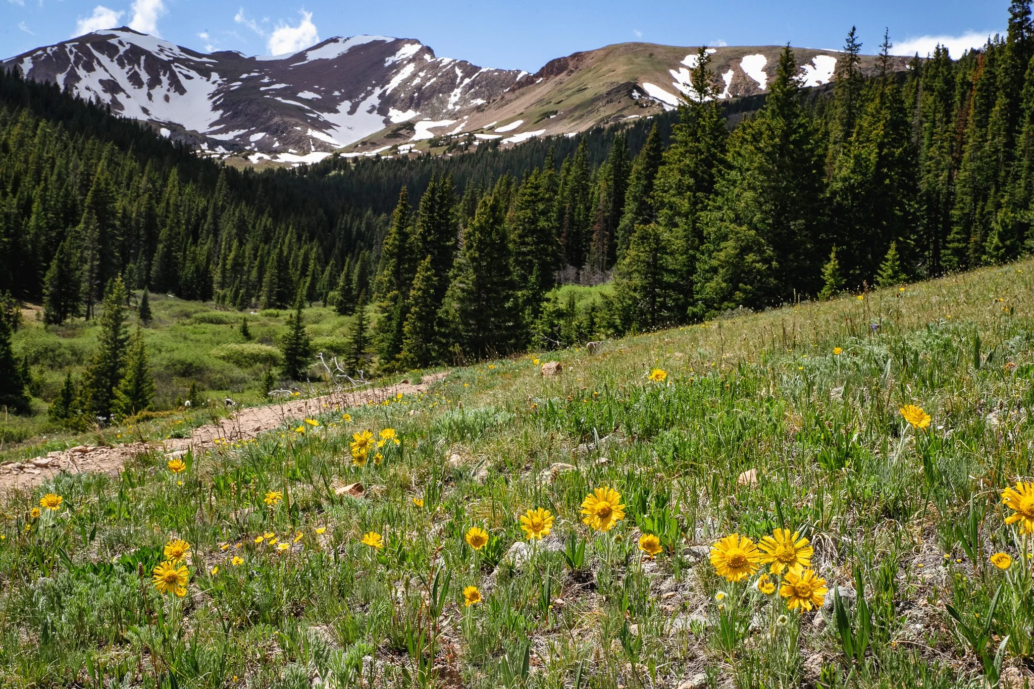 Herman Gulch Trail