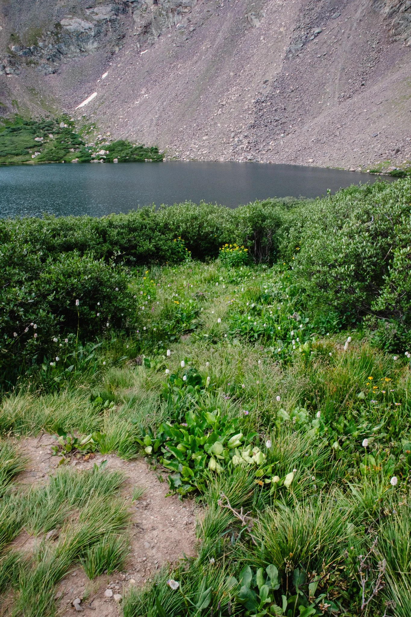IMG_9632.jpg