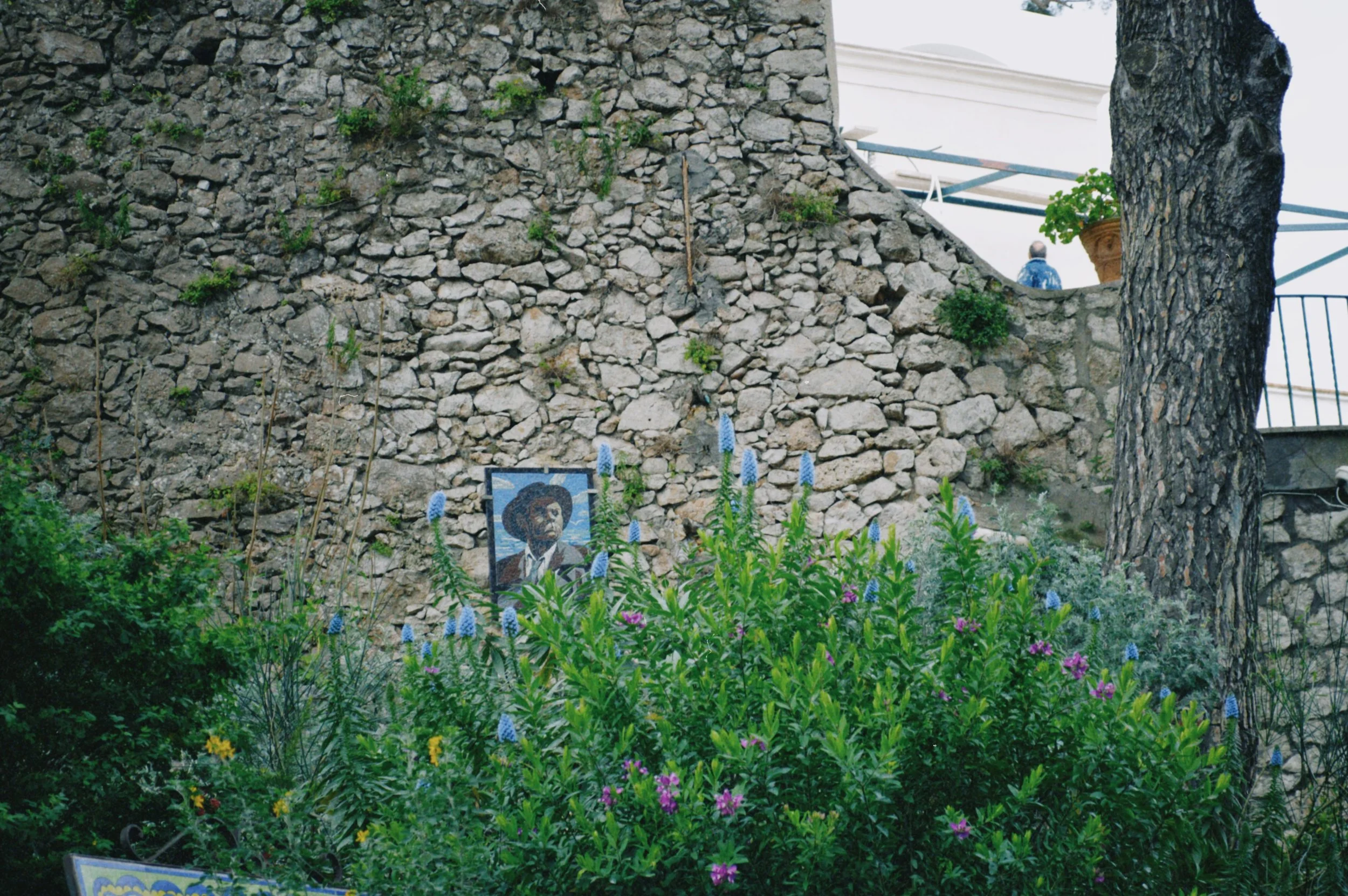 dclassic 2024-04-05 151758.557.JPG