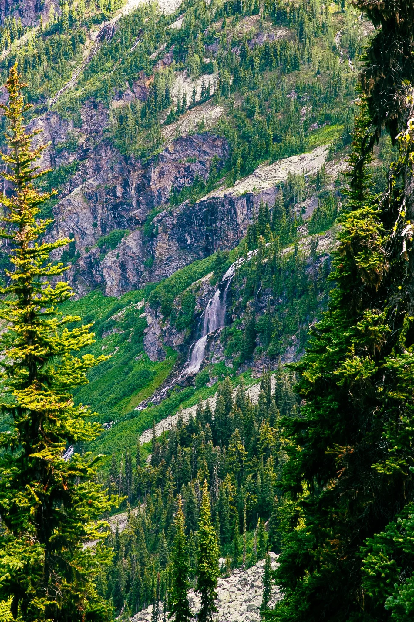 IMG_7409.jpg