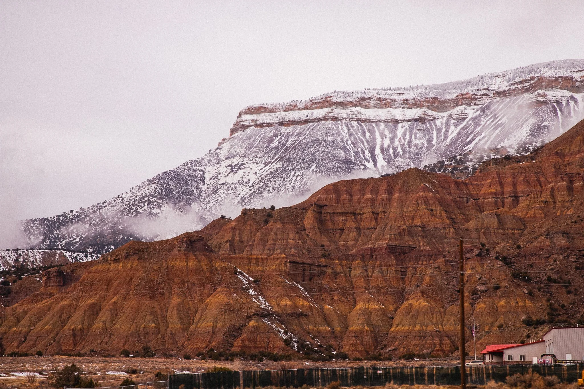 IMG_9742.jpg
