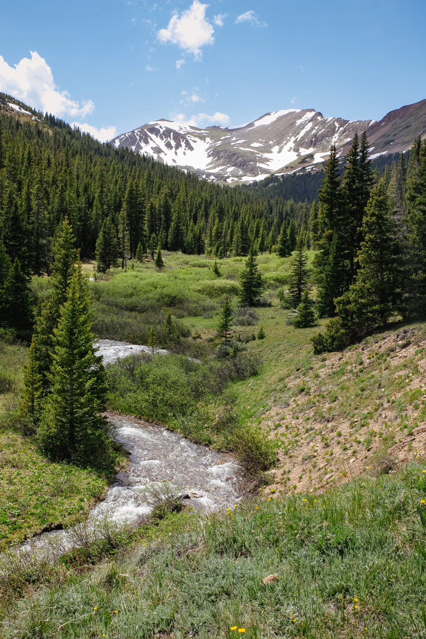 IMG_1459.jpg