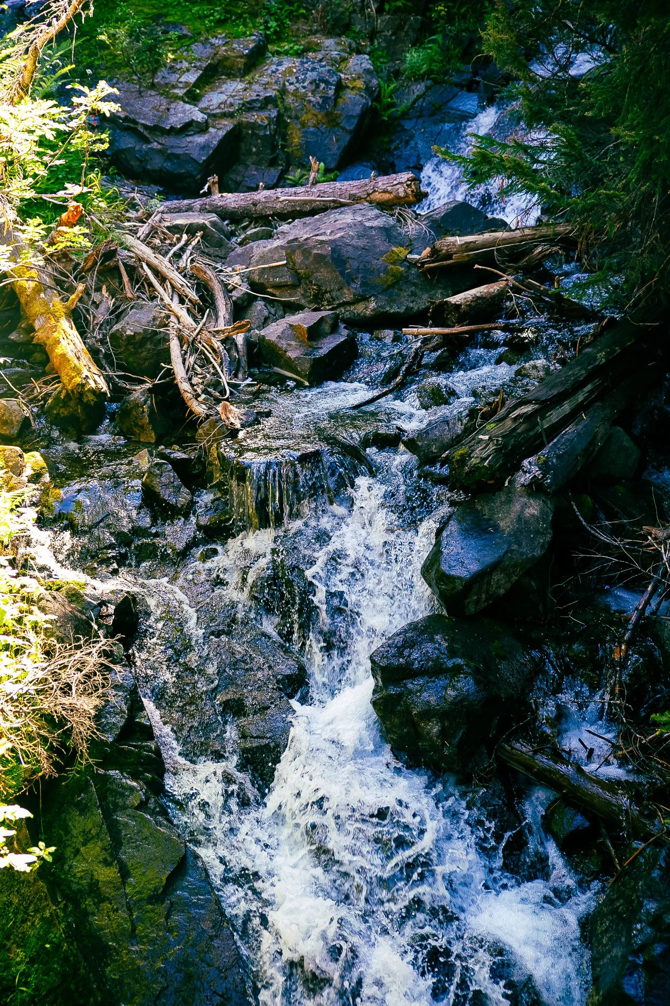 IMG_7416.jpg