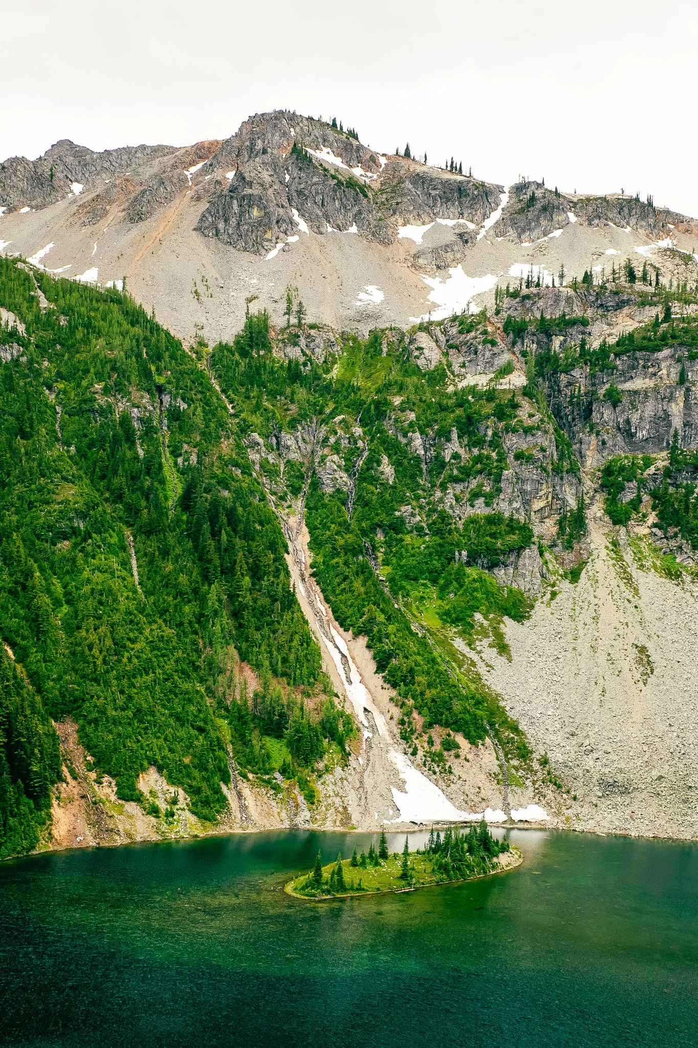IMG_7339.jpg