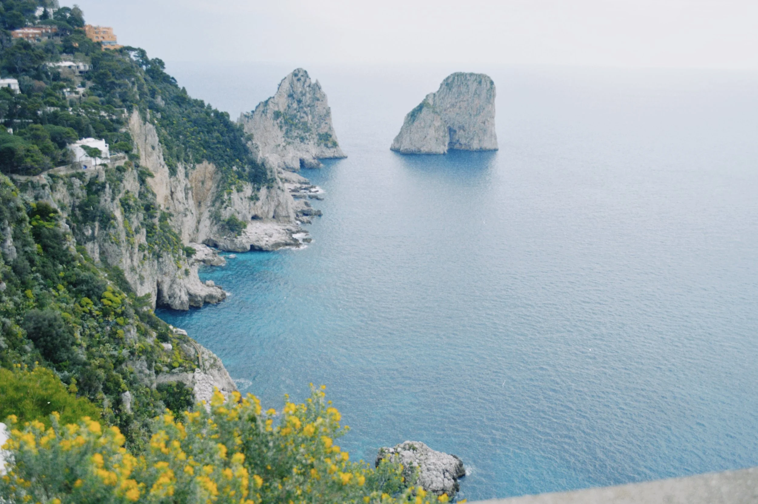 dclassic 2024-04-07 122935.224.JPG