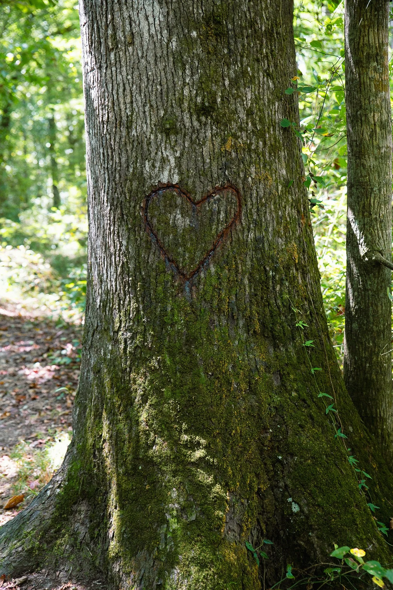 IMG_8214.jpg