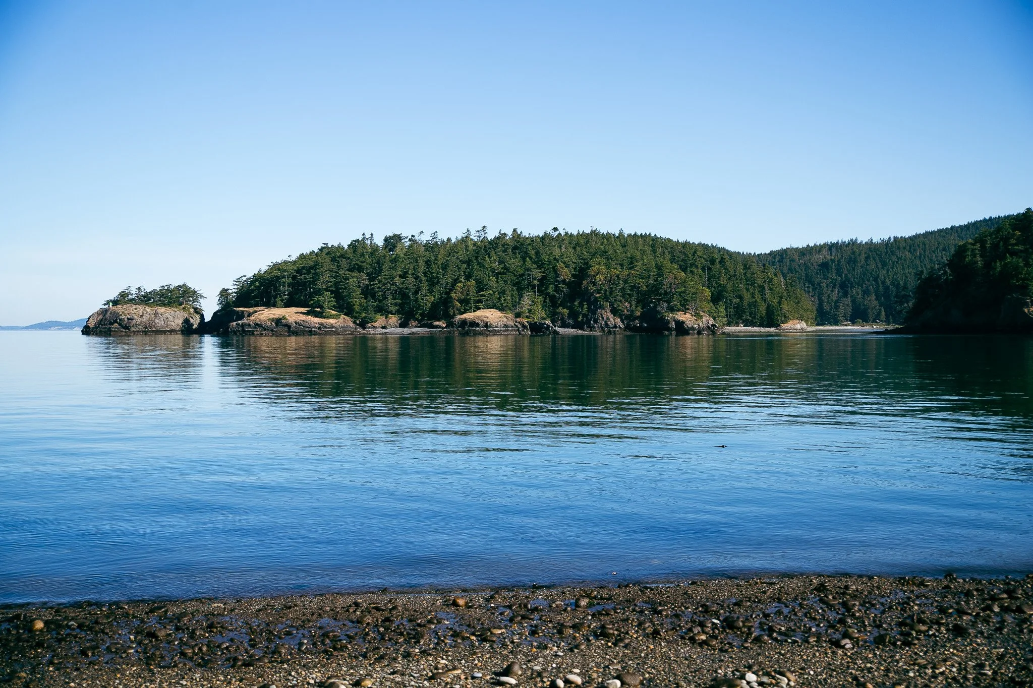 IMG_6603.jpg