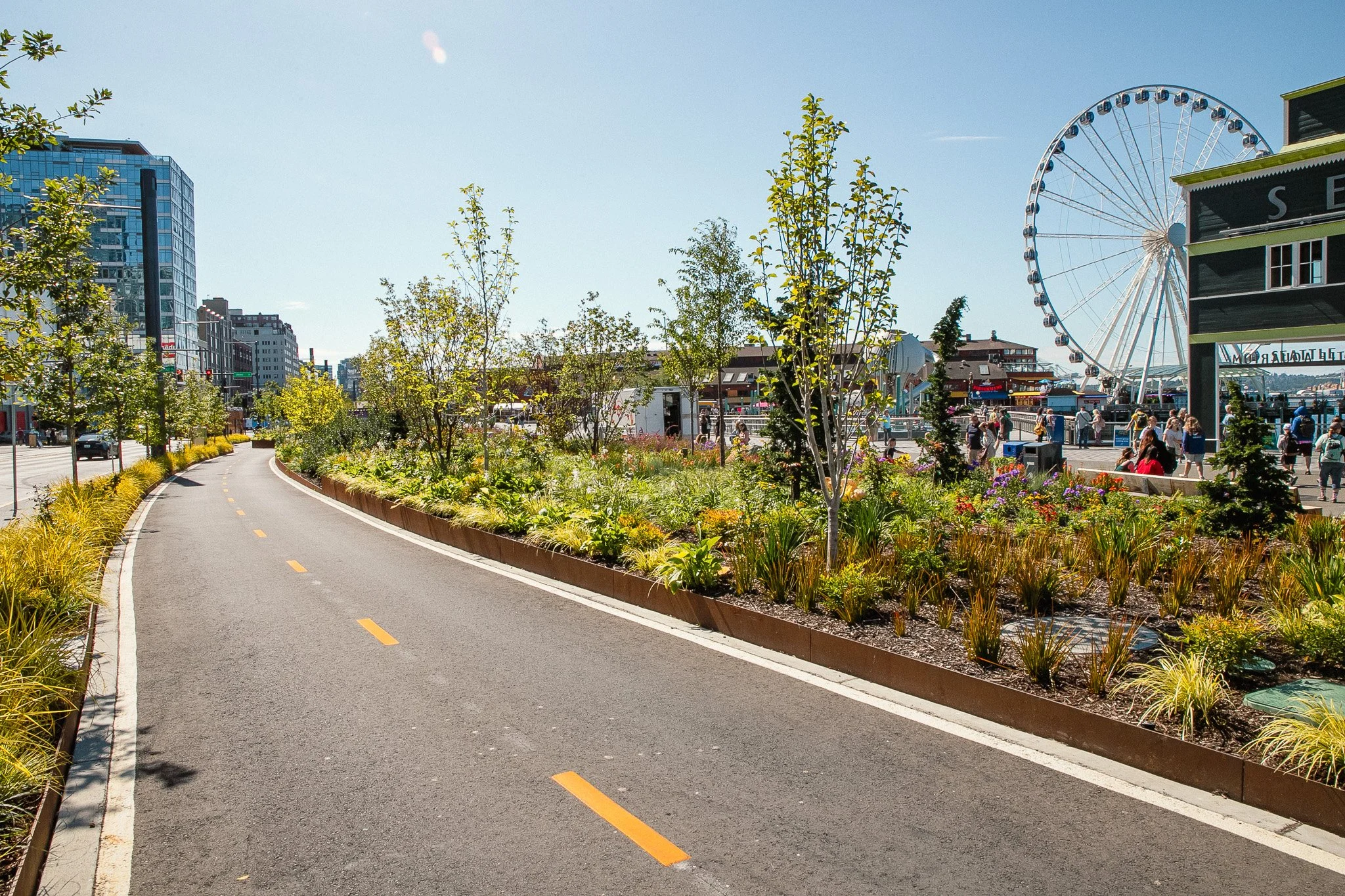IMG_6951.jpg