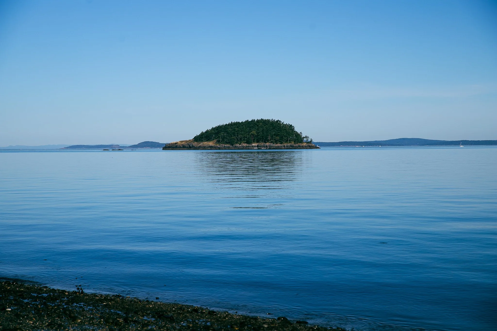IMG_6604.jpg