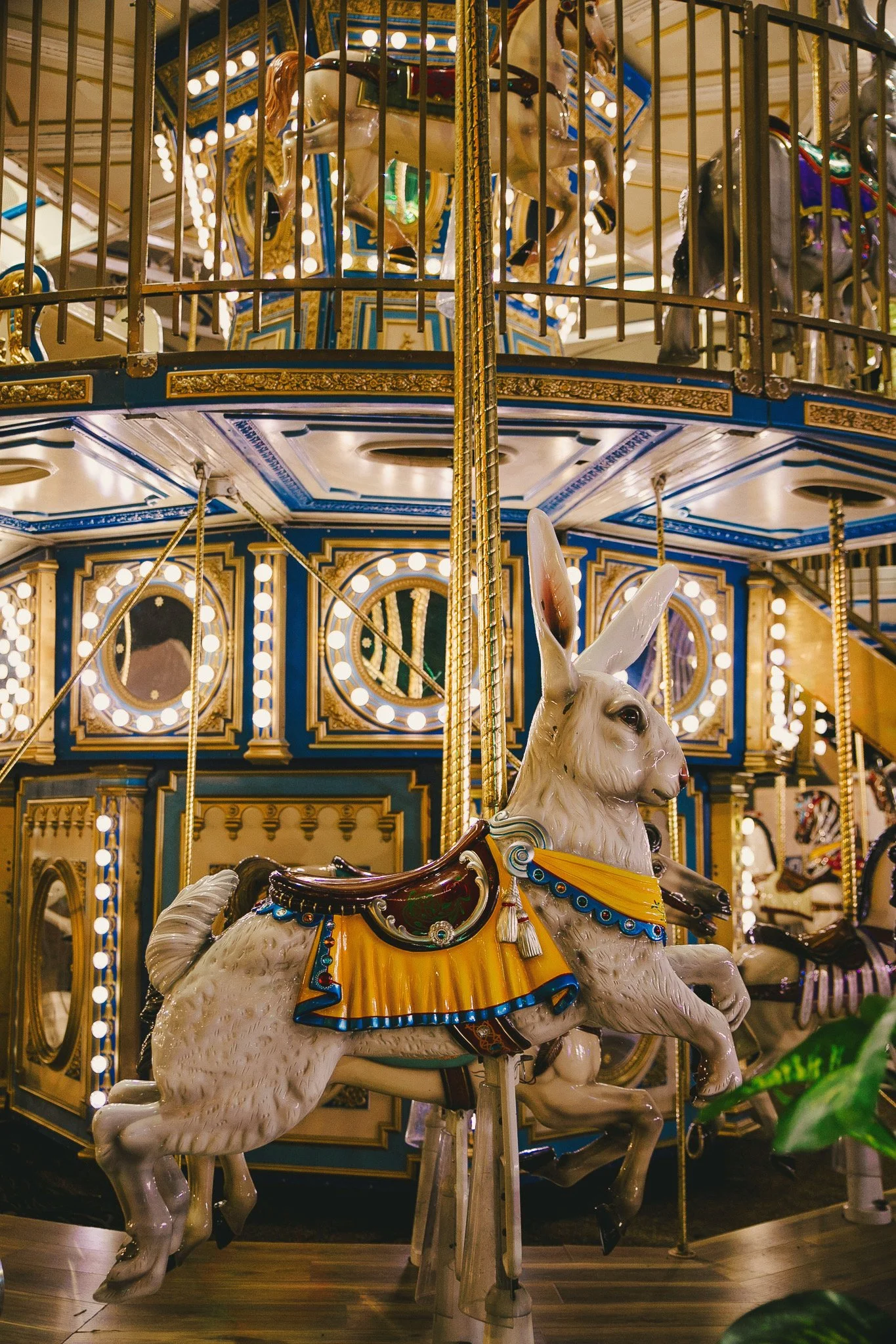 15C4815E-18D9-4D60-81DC-7BF9903D9B94.JPEG