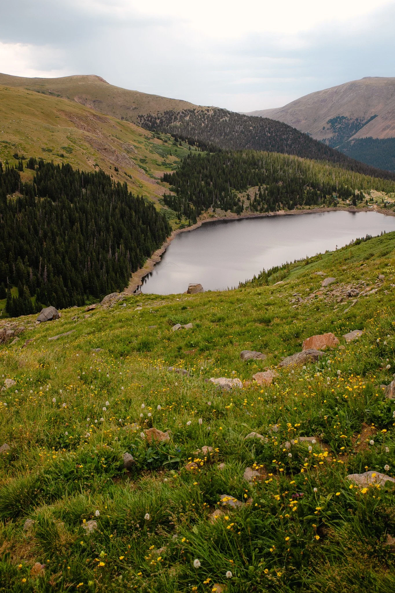 IMG_9299.jpg