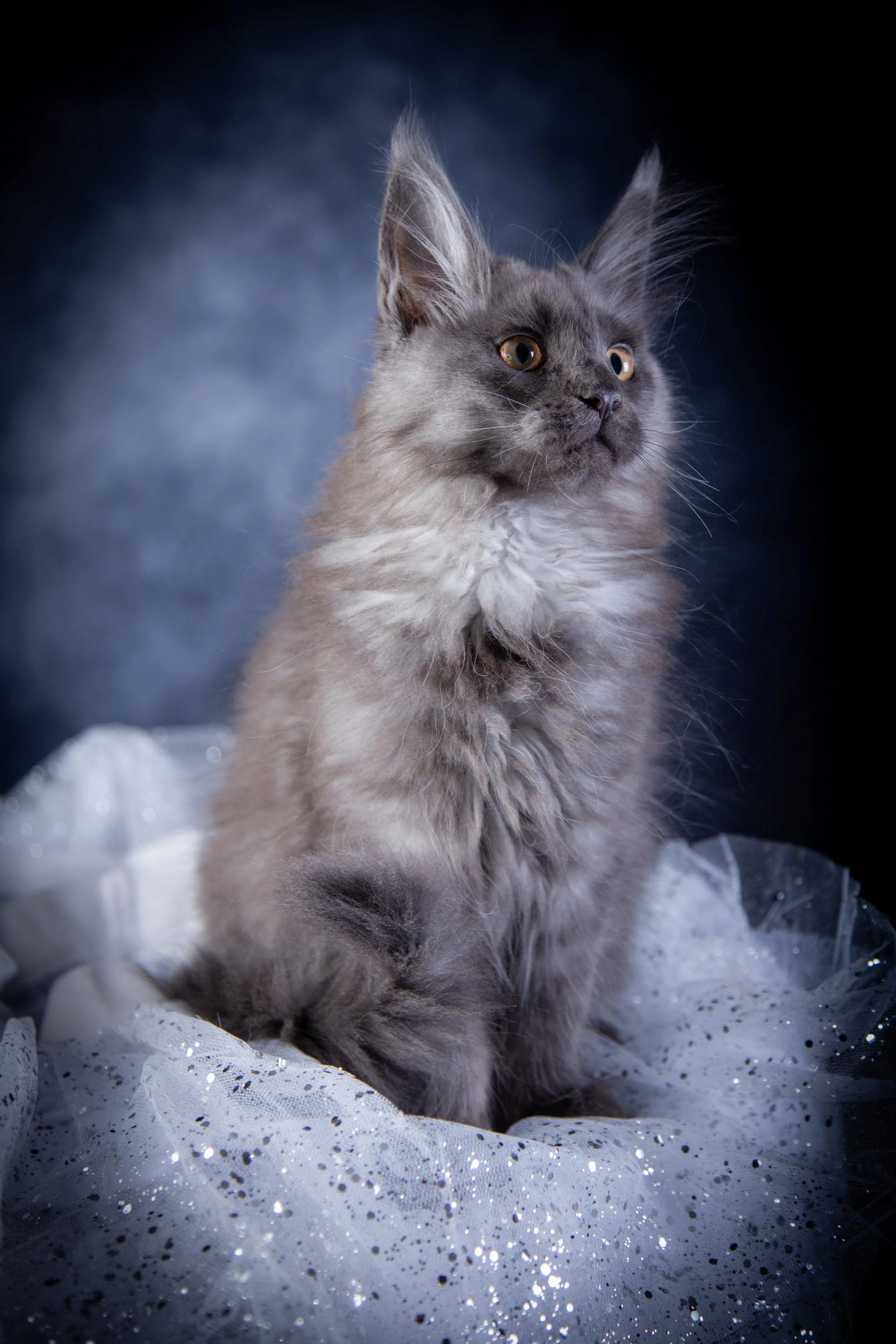 10.10.24_0140.jpg