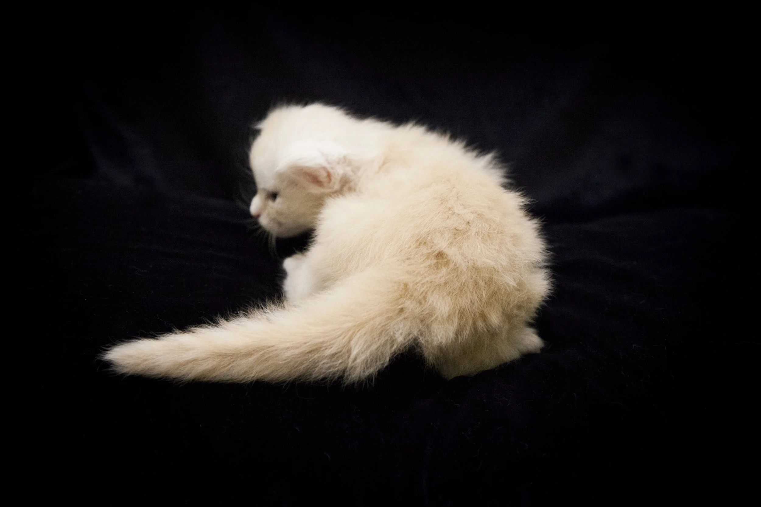 dakotaboys3weeks_0084.jpg