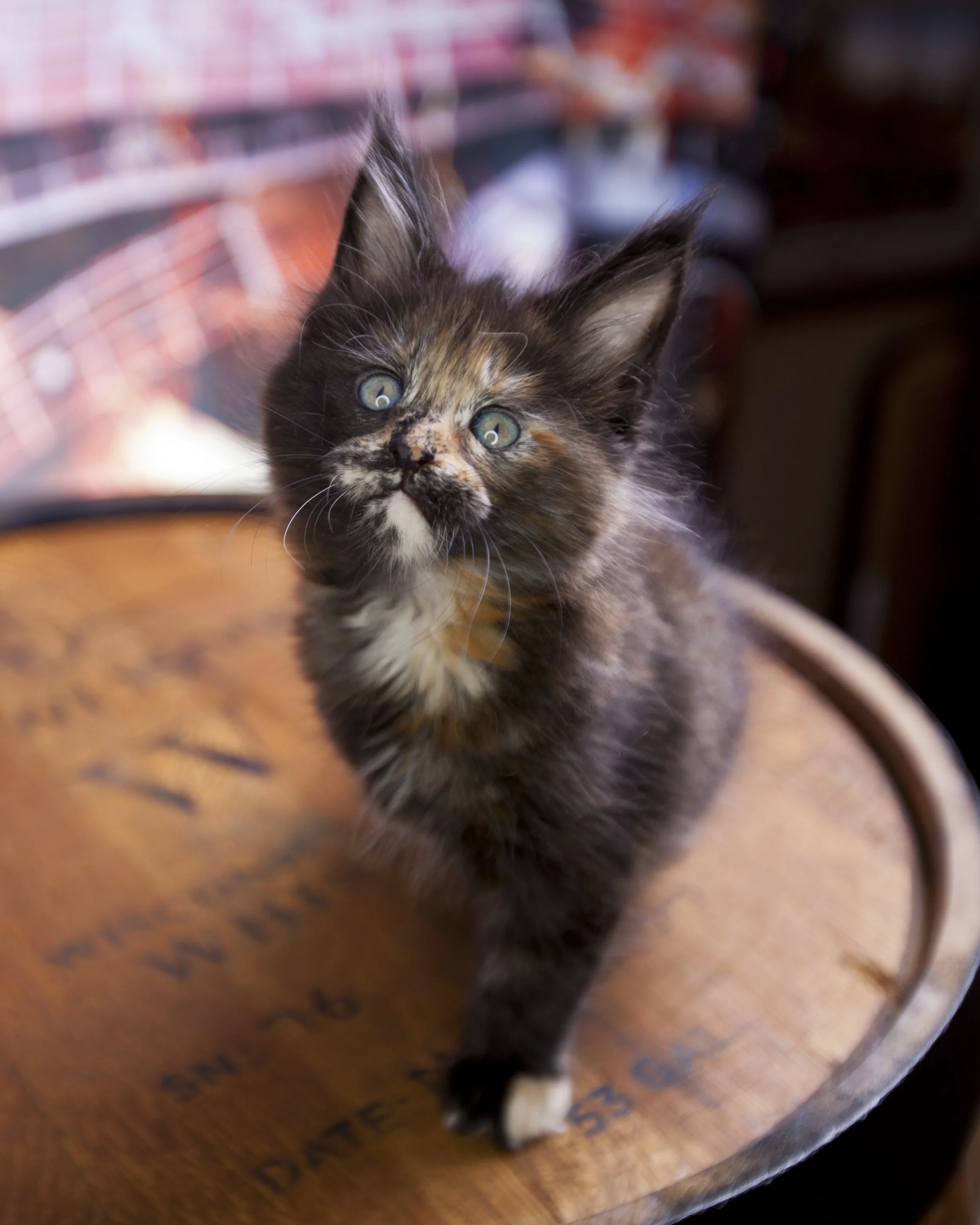 7.5weeks_0374.jpg