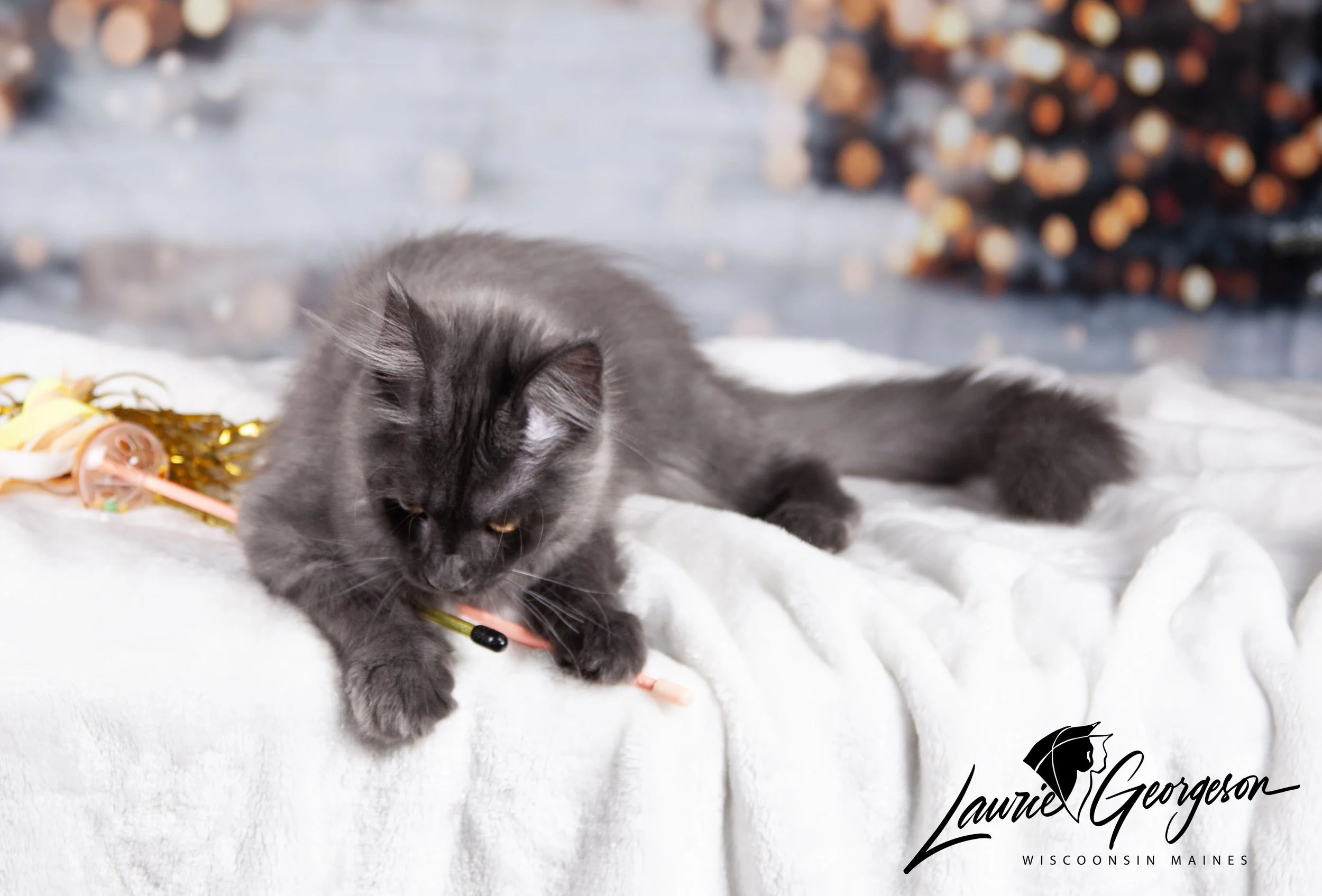 christmas_0258 copy-watermarked.jpg