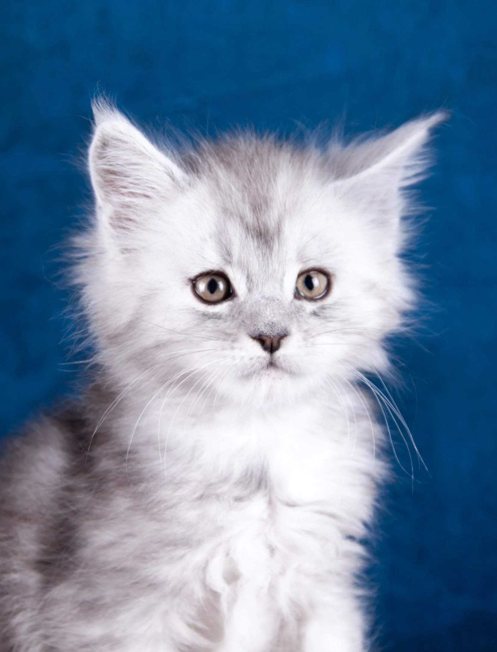 kits3.25_0240.jpg