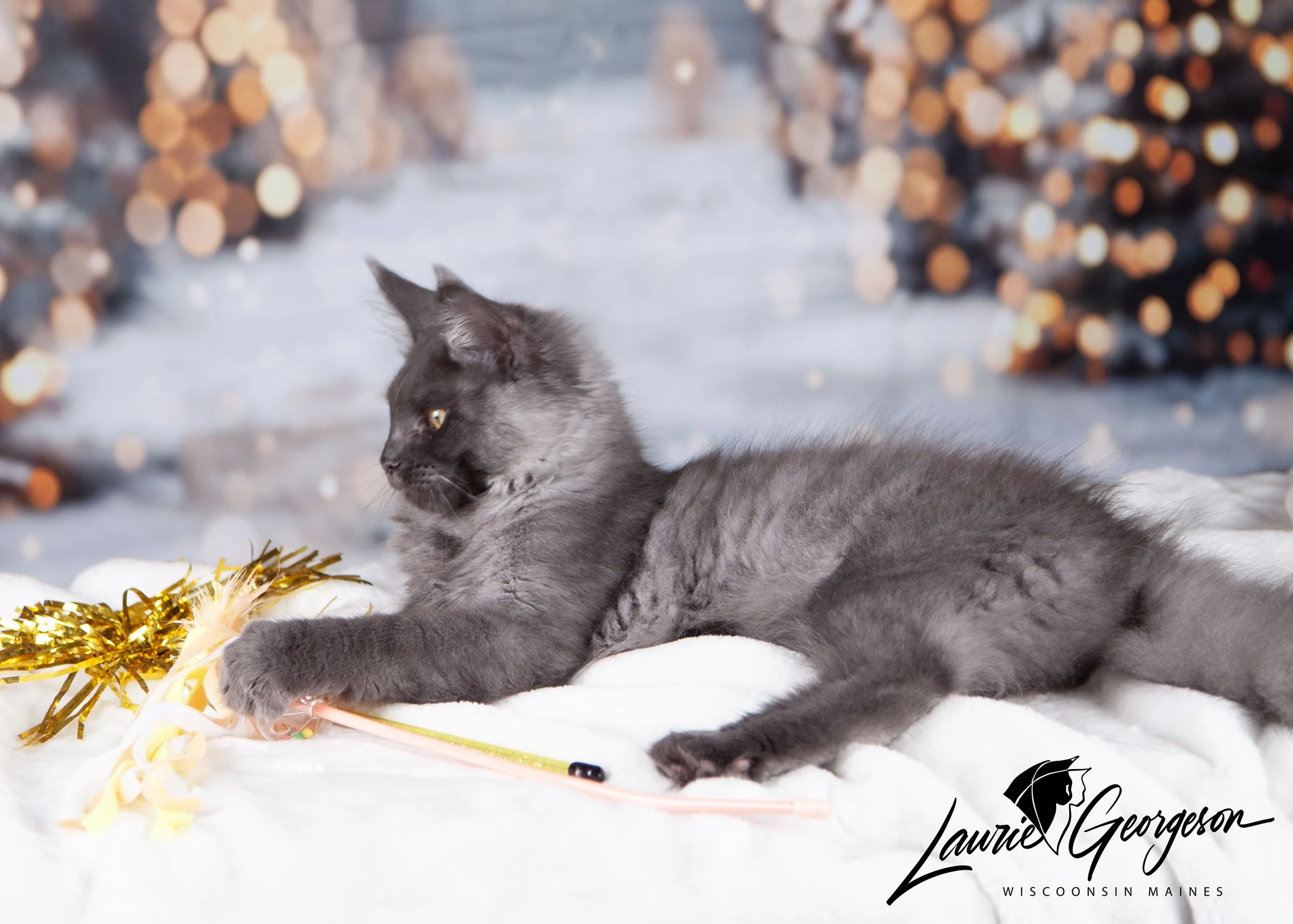 christmas_0248 copy-watermarked.jpg