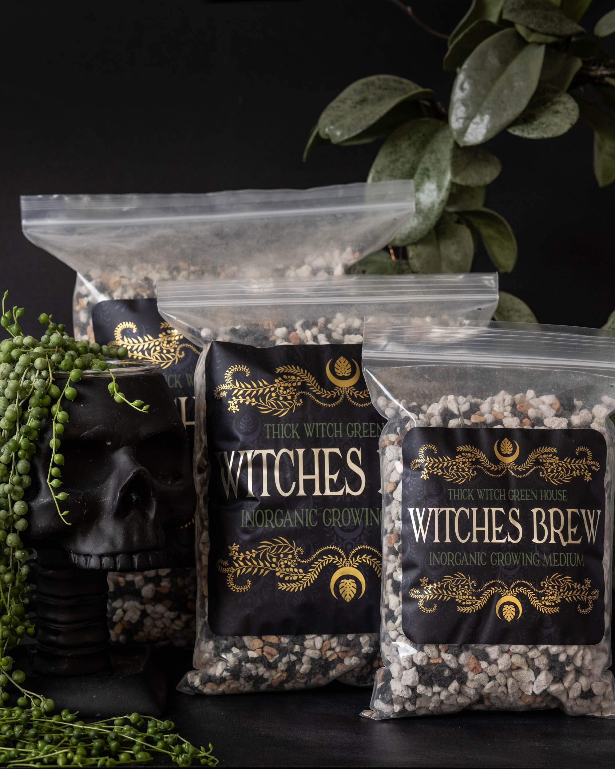 witchesbrew_lowres-12.jpg