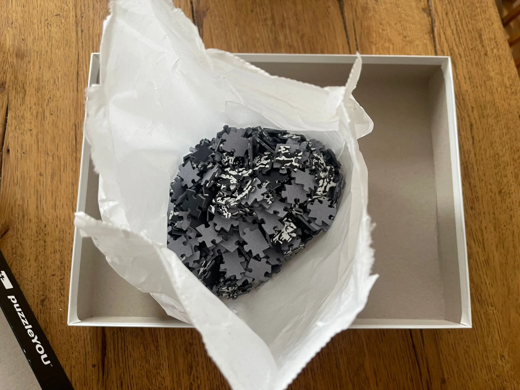 WhatsApp Image 2025-10-20 at 13.54.17.jpeg