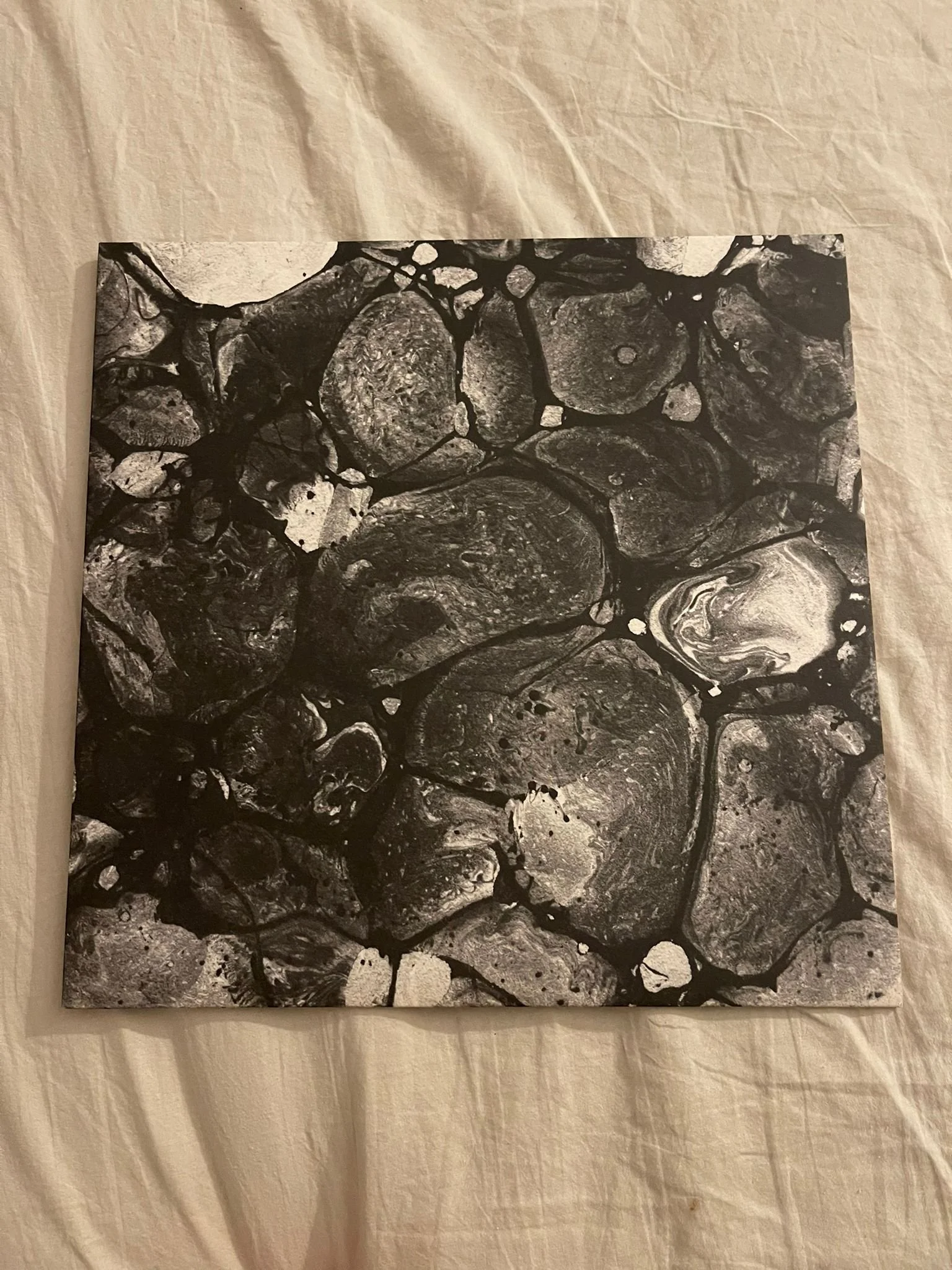 WhatsApp Image 2025-11-02 at 23.00.19.jpeg