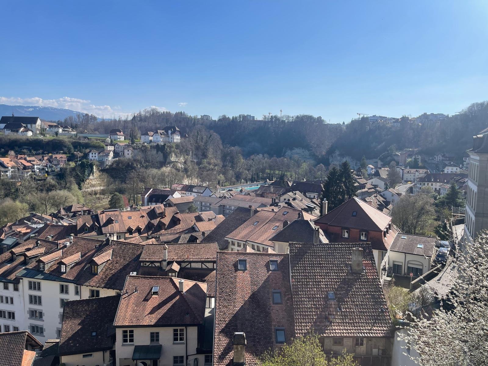 Update &amp; 2025 / Year in Review Pt. 1