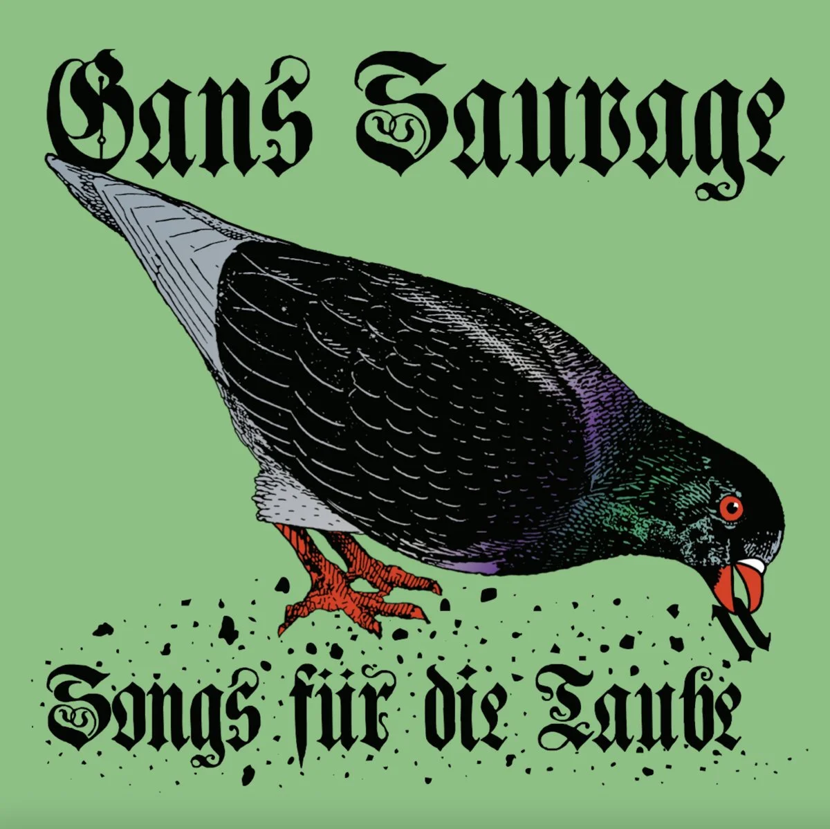 Track by track: Gans Sauvage - Songs for the Tauben