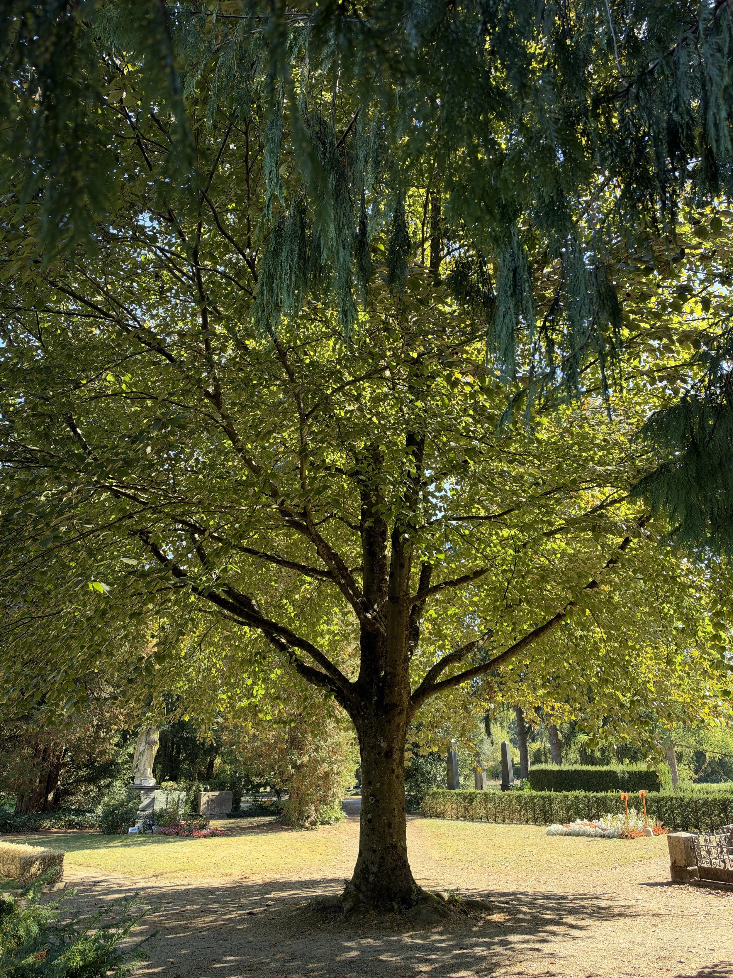 Playlist - Autumn 2026