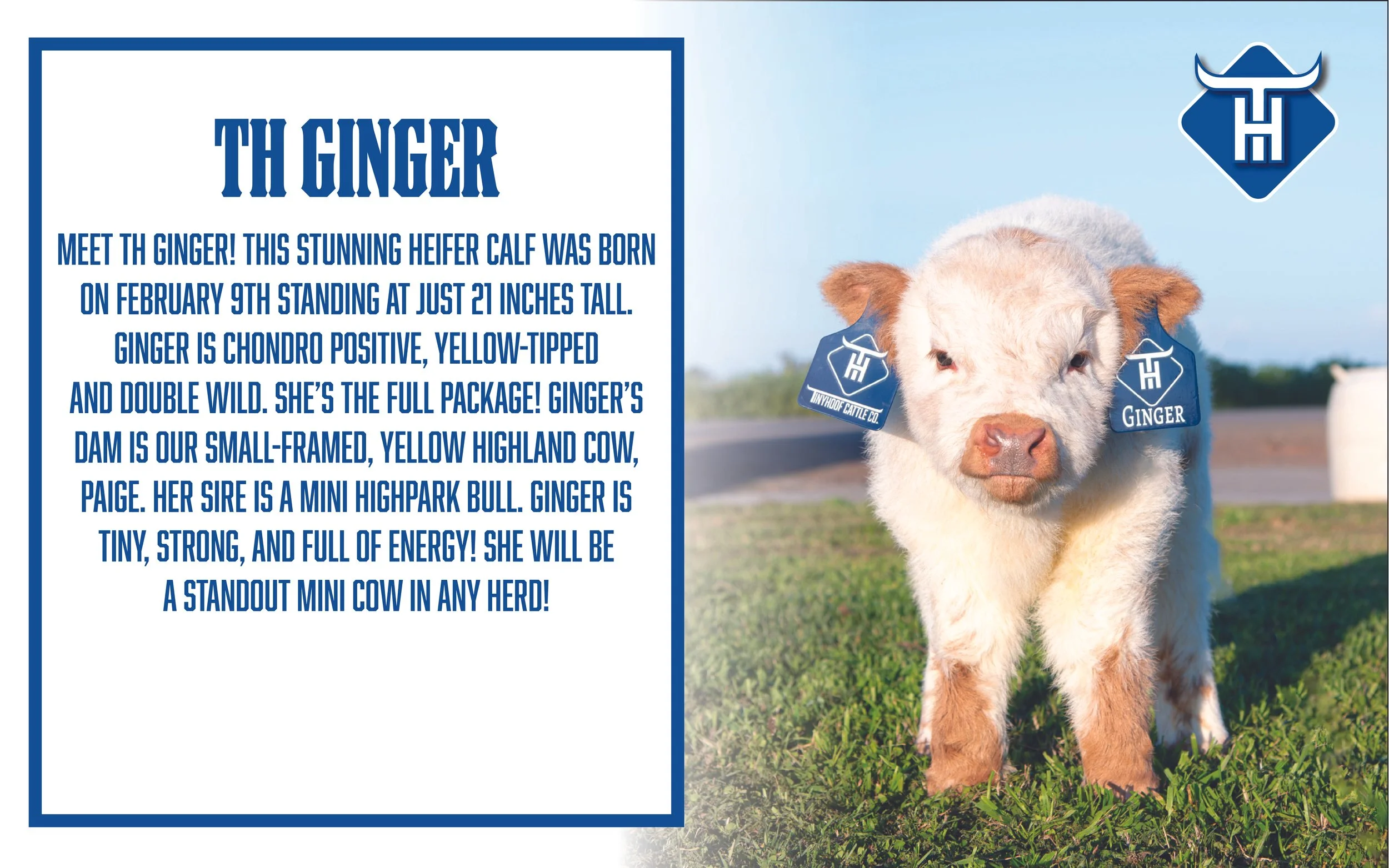 00 Website Cover2.jpg