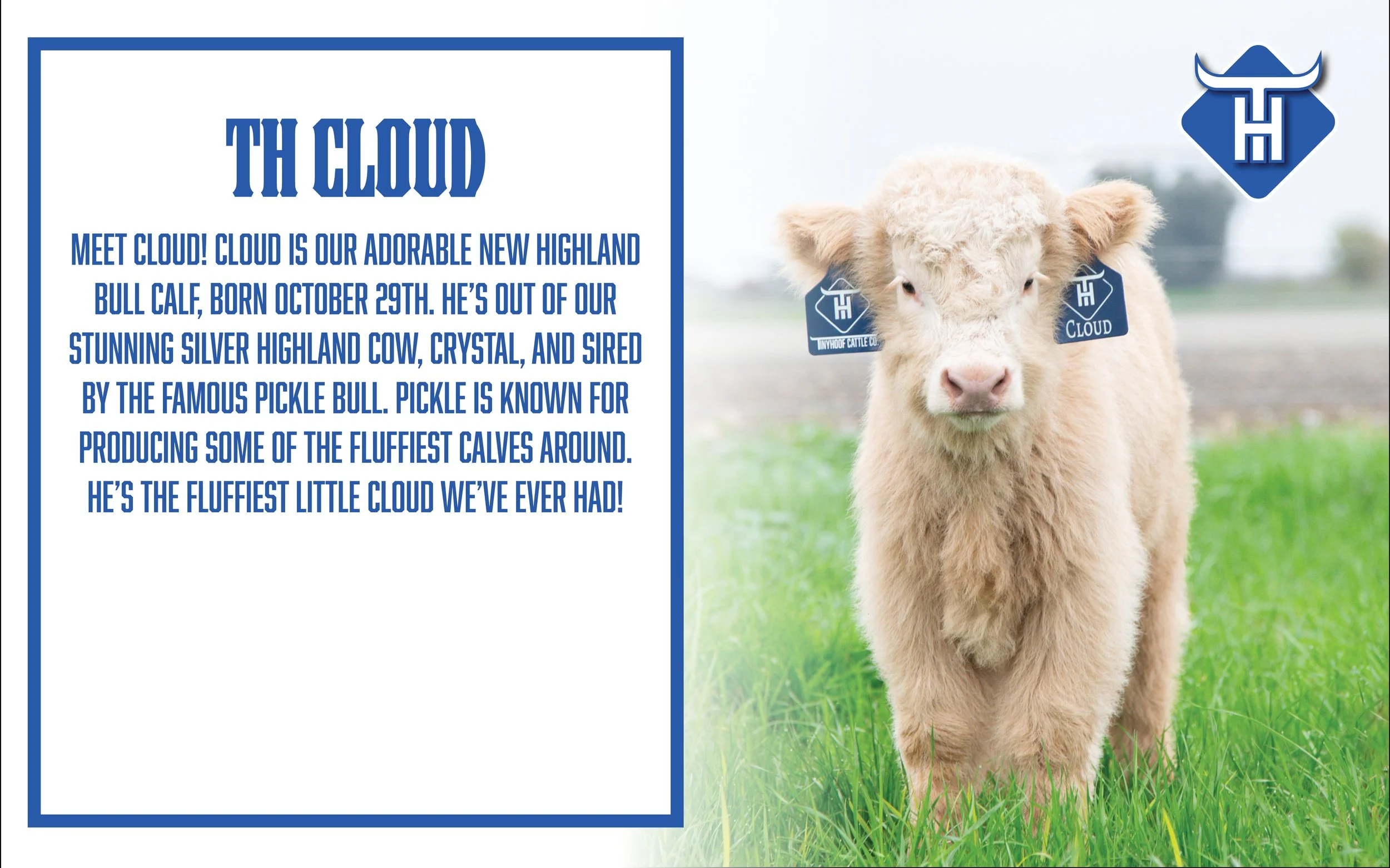 00 Website Cover31.jpg