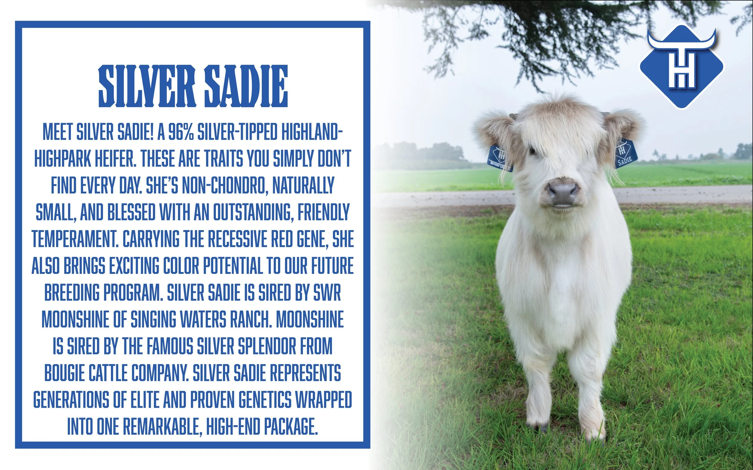 00 Website Cover7.jpg