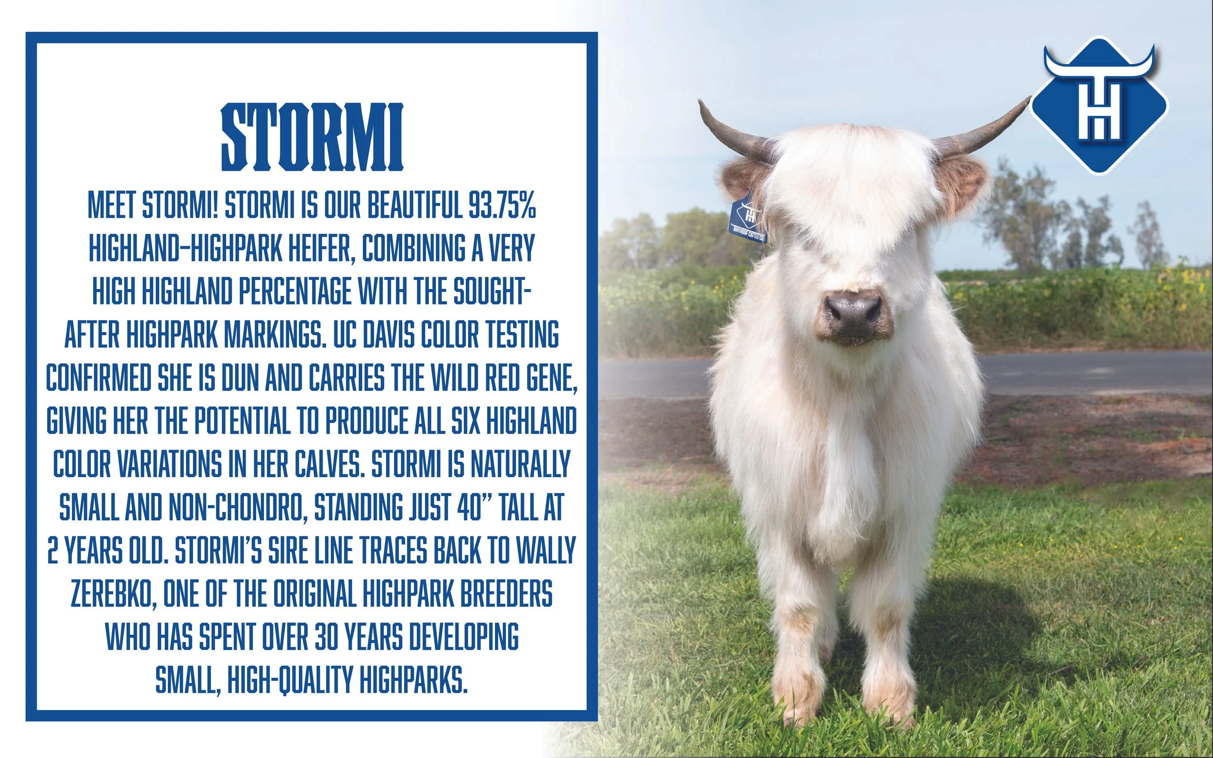 00 Website Cover4.jpg