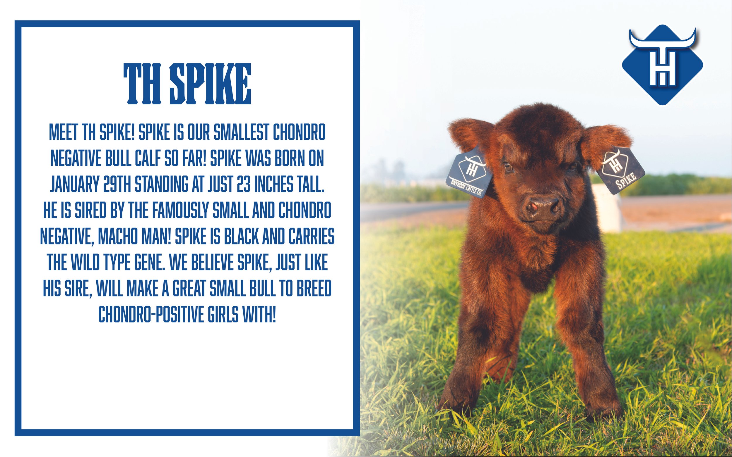 00 Website Cover.jpg