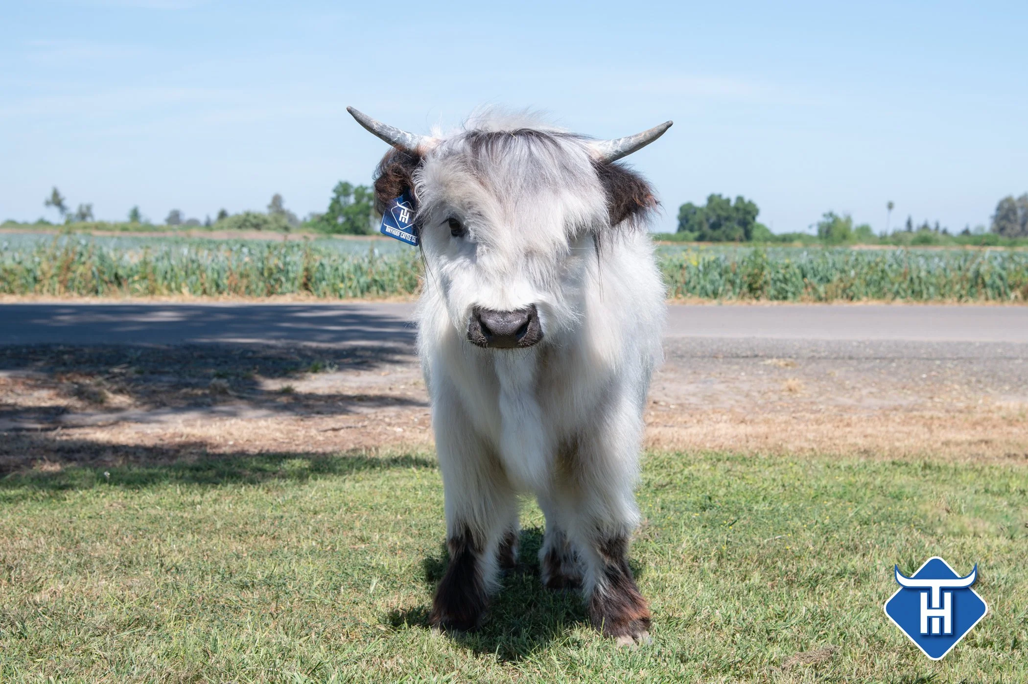 780_7972.JPG