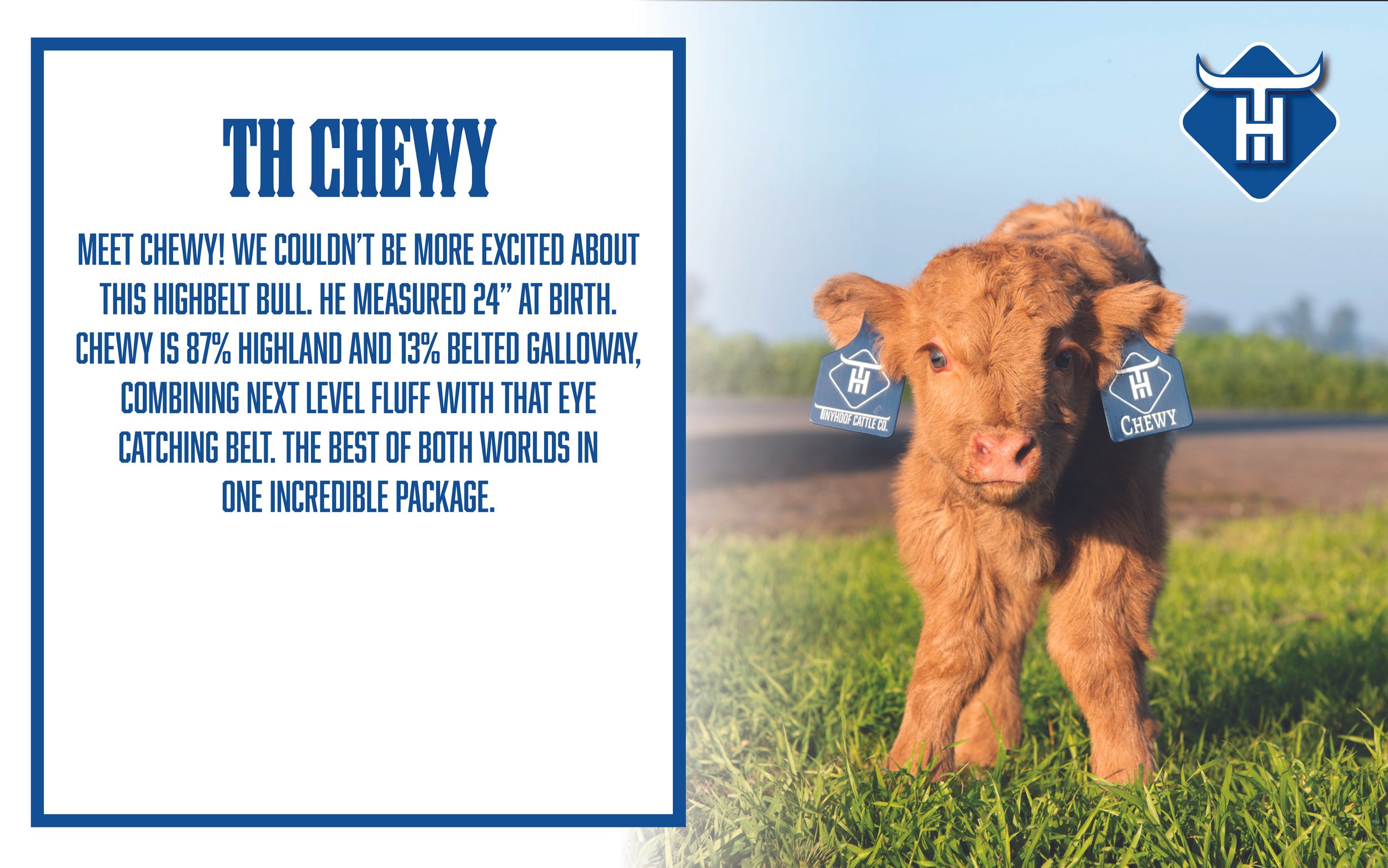 00 Website Cover.jpg