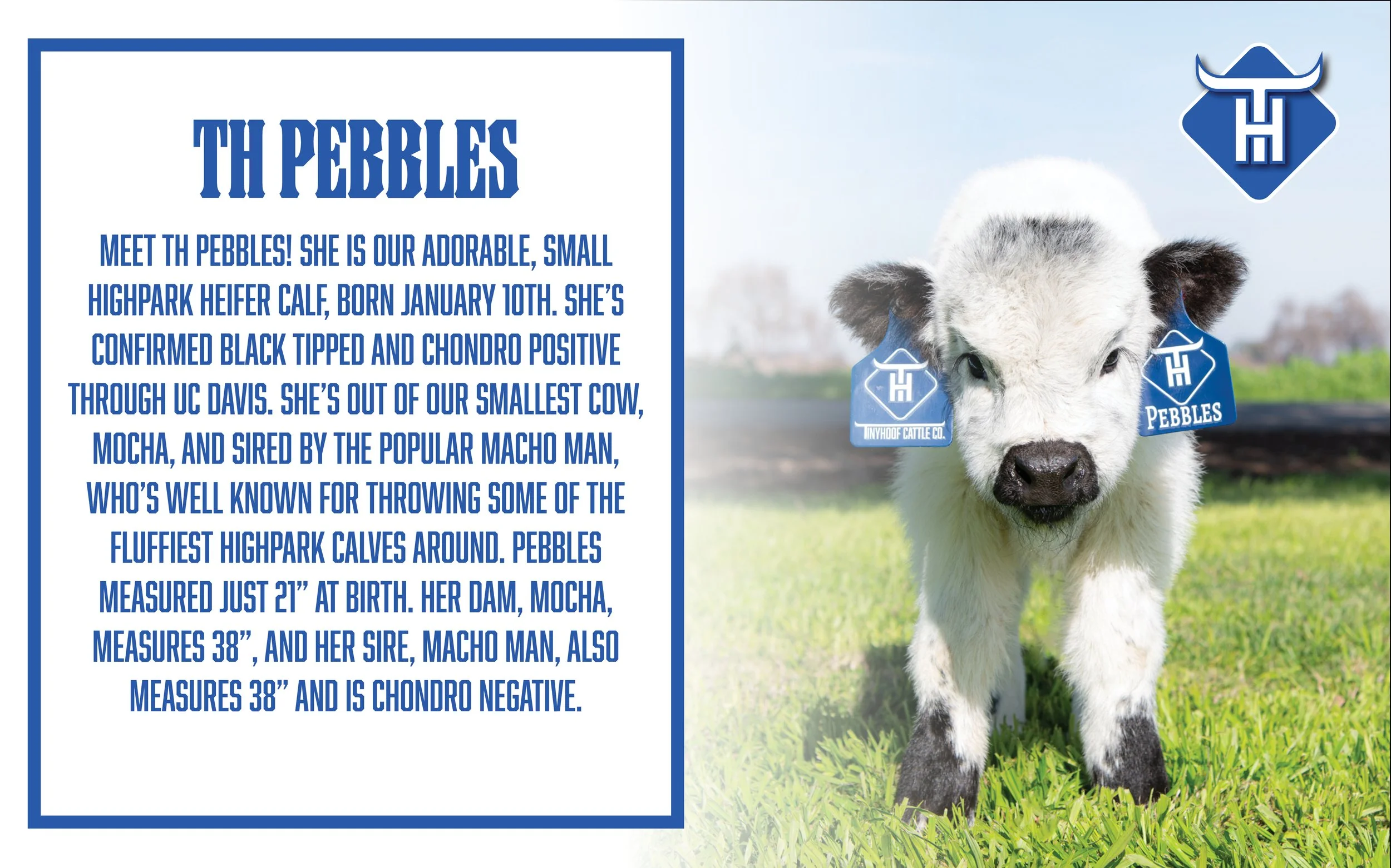 00 Website Cover8.jpg